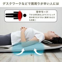 ☆大幅値下げ☆【新品未使用】ゴロンネル プラス