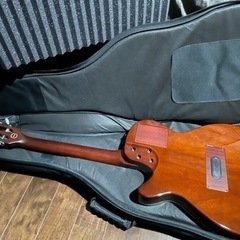 ほぼ未使用品) Godin Multiac Spectrum SA(2015)