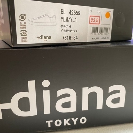 DIANA 先行販売 スニーカー
