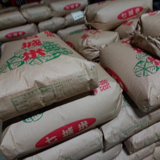 Amazon.co.jp: 米 お米 ５ｋｇ 特別栽培米 七城の米 白米 熊本県産 令和６年産 : 食品・飲料・お酒