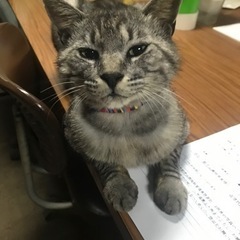 🆘お悩み解決します😺