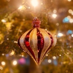 12/24,12/25  クリスマス特別割引🎶体験レッスン🎄
