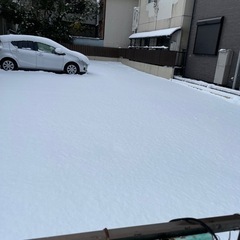 雪かき