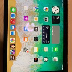 iPad Air 2 WI-FI 128GB