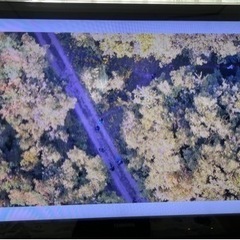 東芝 LED REGZA 42Z1