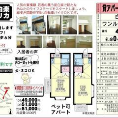 💖初期費用17000円プラン💖ペット(小型犬・猫OK)東横線【白...