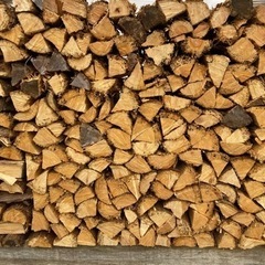 🪵乾燥薪🪵針葉樹（スギ、ヒノキ）70円/kg