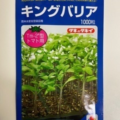 【送料無料】トマト用台木　キングバリアの種100粒