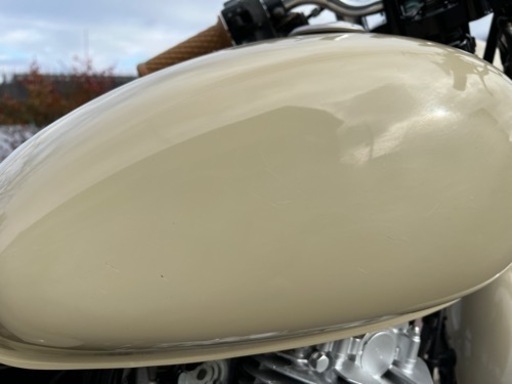 スズキ　st250e ベージュ