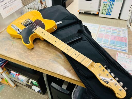 弦楽器、ギター Fujigen Neo Classic NTL10MAHL VNT