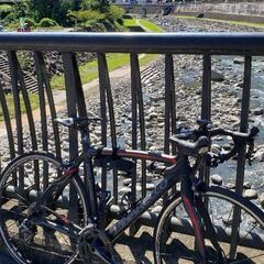 pinarello fp quattro 2013 + racing1