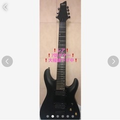 ❗️一点限り❗️49000円引き❗️シェクター(Schecter...