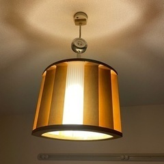 家具職人が作ったライト　購入価格15,000円　電気　電球　蛍光灯　