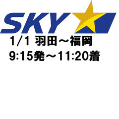 【ネット決済・配送可】飛行機 航空券 1/1 東京羽田～福岡 9...