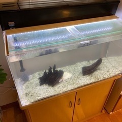 取引中 アクリル水槽セット（900）