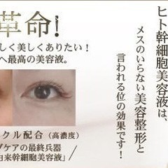 12/26🎄モニター募集🌟ヒト幹細胞美容液導入フェイシャル体験🌟 - キャンペーン