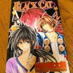 BLACK CAT9巻