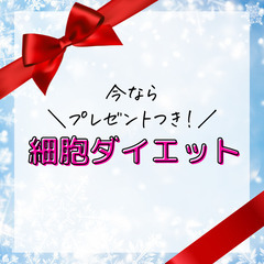 【期間限定】プレゼント付き！細胞ダイエット🌸最短最速で理想ボディ...