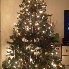 ライト付き(Pre lit)クリスマスツリー 約2m