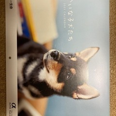 子犬がかわいいカレンダー