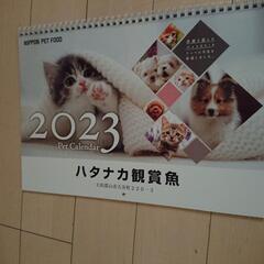 動物のカレンダー 2023