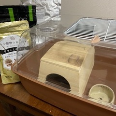 【値下げ】ハリネズミ飼育セット