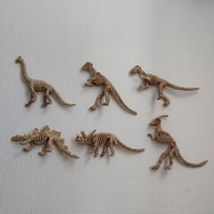 恐竜の骨　フィギュア　6体