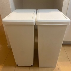 ゴミ箱 30リットル×2個