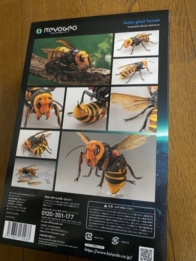 受付終了】リボジオ オオスズメバチ(海洋堂／ABS製／塗装済み）