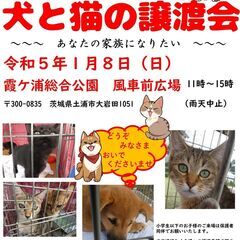 犬と猫の譲渡会～あなたの家族になりたい～～～