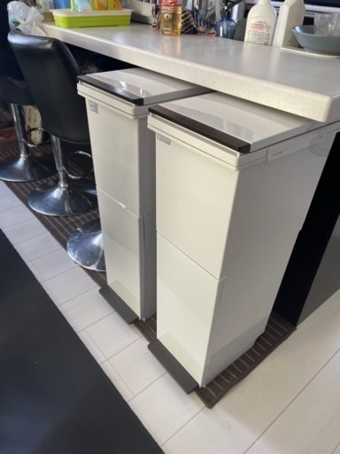 ゴミ箱ASVEL分別パッキン付き ペダル 2段38L 2個セット