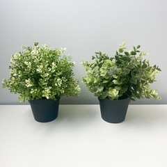 【お渡し済み】IKEA FEJKA フェイカ 人工観葉植物