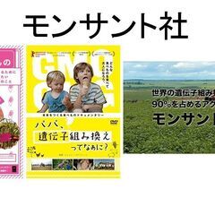 1/13【有楽町】都市伝説カフェ会♪★1人参加&初参加&途中参加大歓迎★仕事帰りに楽しいご縁を♪毎回満員御礼 - その他