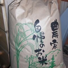 新米ヒノヒカリ　20キロ　玄米