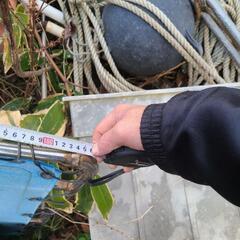 ボート用オーニング(値下げ中)