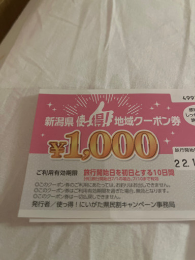 全国旅行支援クーポン6万円分！