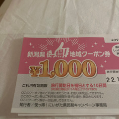 全国旅行支援クーポン6万円分！