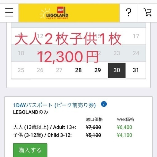 レゴランド大人2名子供1名(3名分)入場チケット