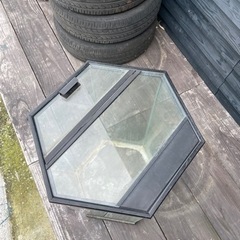 希少　六角　水槽