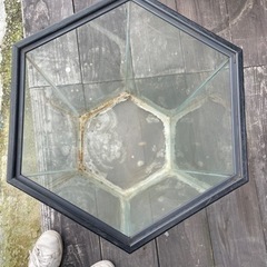 希少　六角　水槽