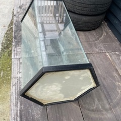 希少　六角　水槽