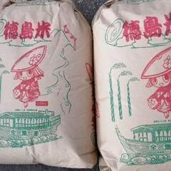 三年産　コシヒカリ保冷米　玄米30kg