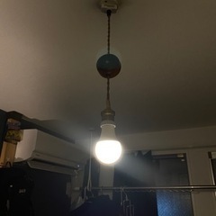 スマートLED電球、コード（写真の通り）