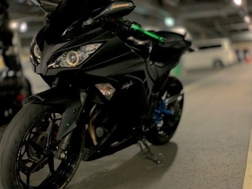 Ninja250se