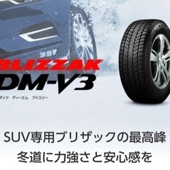新品未使用】ブリヂストン DM-V3 SUV用 225/65R17 21年製 4本