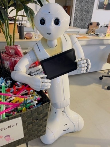 【ジャンク】ペッパー君　動作はすると思うのですが充電器が欠品