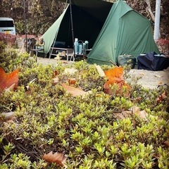 期間限定値下げ　ソロソウルウォウウォウ　DOD