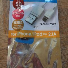 無料　USBライトニング端子　iphone ipad 対応　ケー...