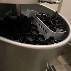 パイモア  デジタルパーマ