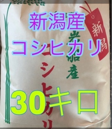 令和4年度 新潟産コシヒカリ 玄米30キロ www.inversionesczhn.com